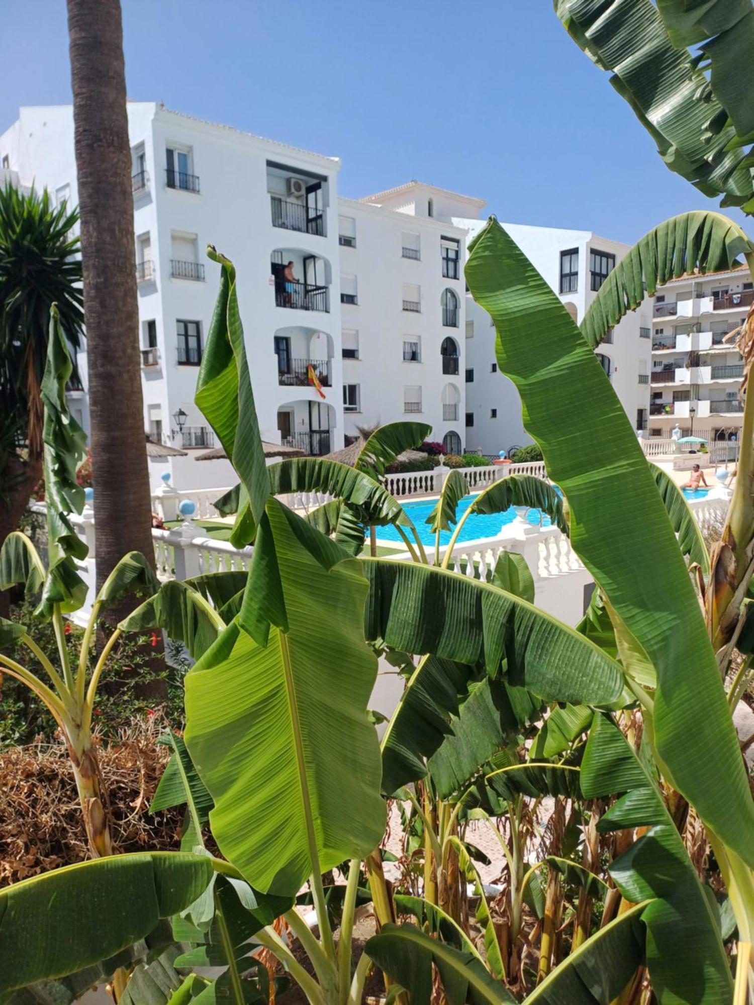 Beautiful Beachfront Newly Renovated 2 Bedroom Apartment With Swimming Pool And Garden San Luis de Sabinillas Bagian luar foto