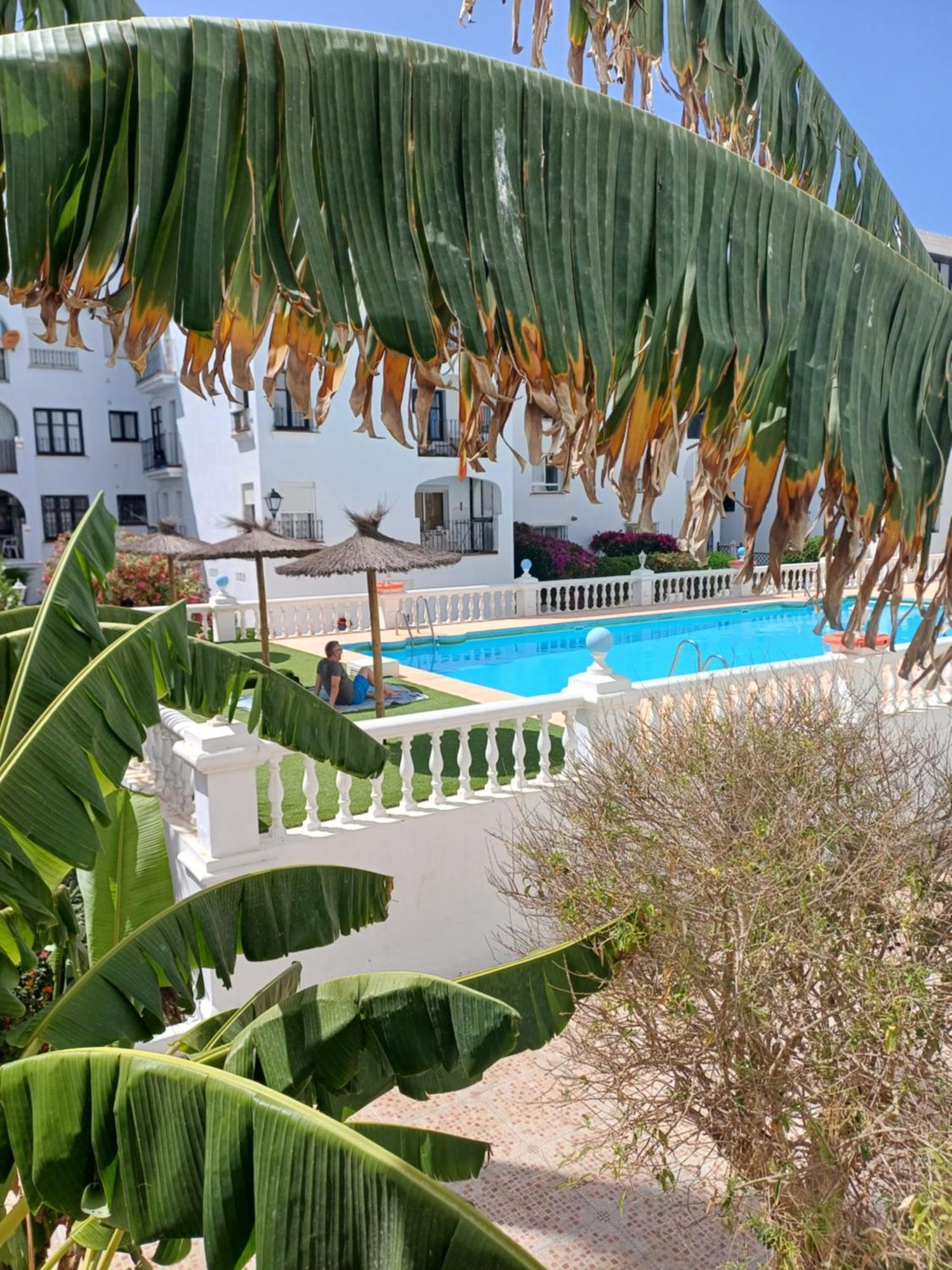 Beautiful Beachfront Newly Renovated 2 Bedroom Apartment With Swimming Pool And Garden San Luis de Sabinillas Bagian luar foto